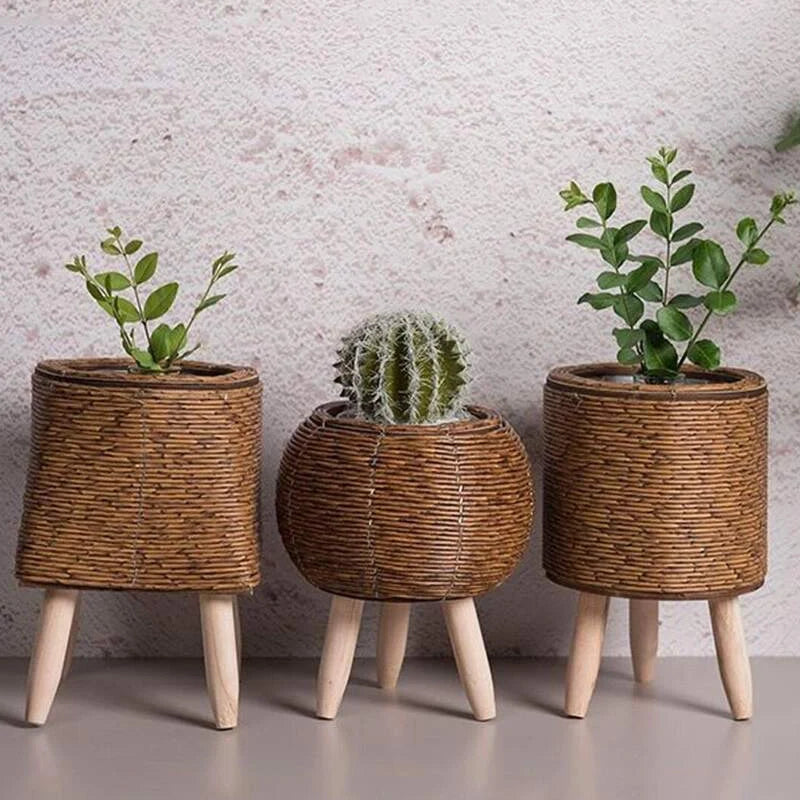 Cachepot de Rattan com Suporte de Madeira